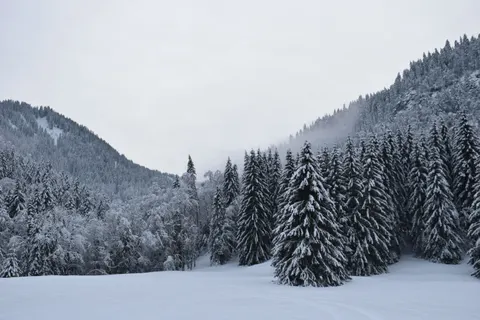خلفية ثلج الشتاء بدقة 4K · nature · 3840×2560