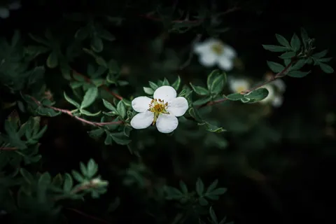 Dark Texture 4K Wallpaper · dark · 3840×2560