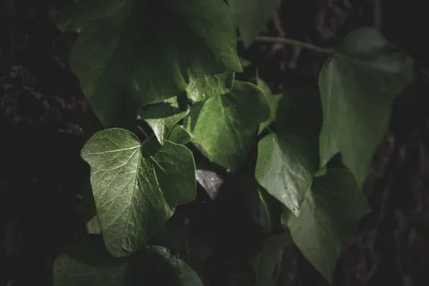 Dark Texture 4K Wallpaper · dark · 3840×2560