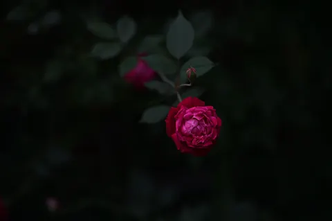Dark Texture 4K Wallpaper · dark · 3840×2555