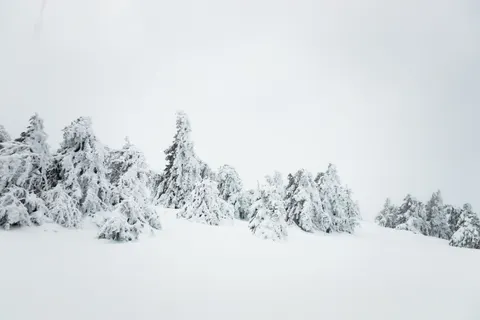 Winter Snow 4K Wallpaper · nature · 3840×2560