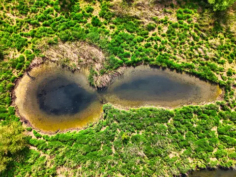 Aerial Forest 4K Wallpaper · aerial · 3840×2880