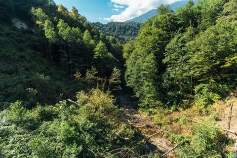 Aerial Forest 4K Wallpaper · aerial · 3840×2560