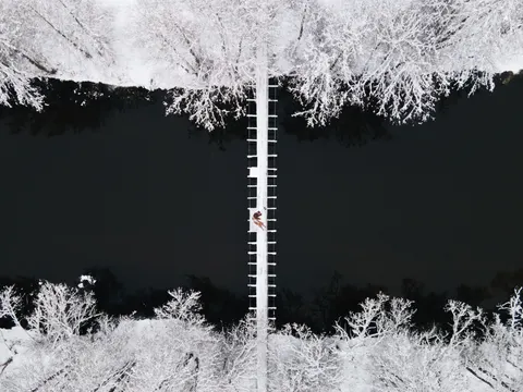 Aerial Forest 4K Wallpaper · aerial · 3840×2880