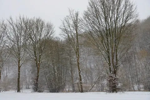 Winter Snow 4K Wallpaper · nature · 3840×2560