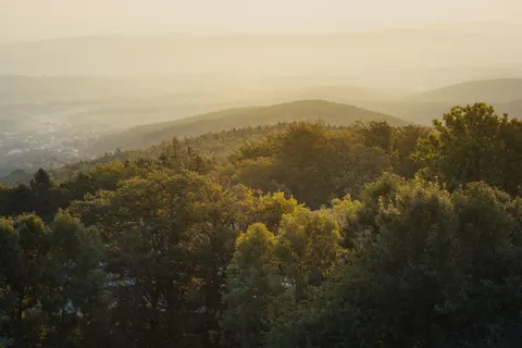 Aerial Forest 4K Wallpaper · aerial · 3840×2560
