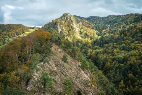 Aerial Forest 4K Wallpaper · aerial · 3840×2560