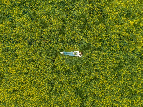 Aerial Forest 4K Wallpaper · aerial · 3840×2880