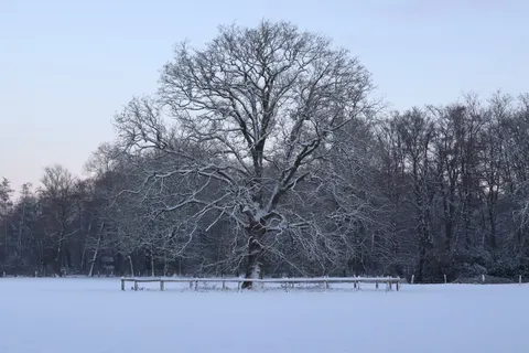 Winter Snow 4K Wallpaper · nature · 3840×2560