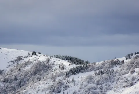Fondo de pantalla Nieve de invierno 4K · nature · 3840×2597
