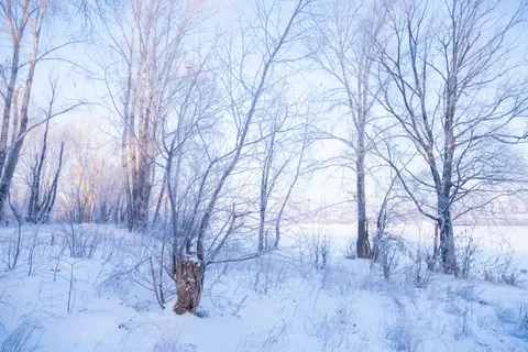 겨울 눈 4K 배경화면 · nature · 3840×2560