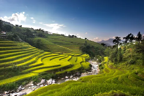 والپیپر مزارع پلکانی برنج با کیفیت 4K · nature · 3840×2561