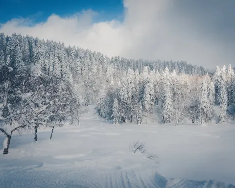 冬日雪景 4K壁纸 · nature · 3840×3072