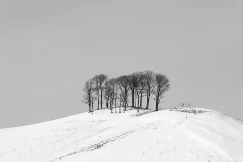 Fond d'écran Neige d'hiver 4K · nature · 3840×2561