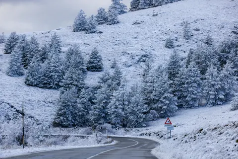 Snowy Forest 4K Wallpaper · winter · 3840×2561