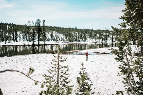 Snowy Forest 4K Wallpaper · winter · 3840×2560