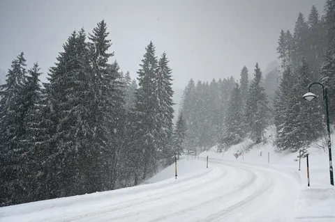Snowy Forest 4K Wallpaper · winter · 3840×2555