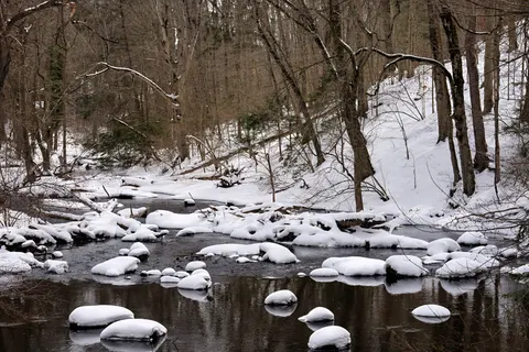 Snowy Forest 4K Wallpaper · winter · 3840×2560