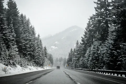 Snowy Forest 4K Wallpaper · winter · 3840×2553
