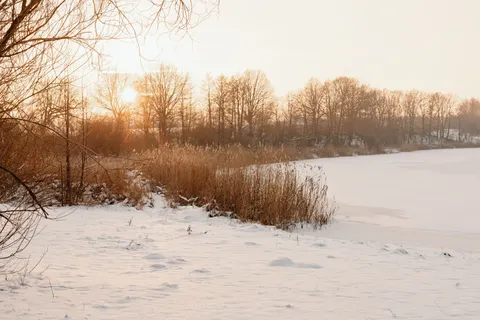 Winter Snow 4K Wallpaper · nature · 3840×2560