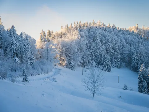 Winterschnee 4K Hintergrundbild · nature · 3840×2880