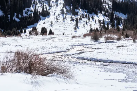 Snowfall 4K Wallpaper · winter · 3840×2560