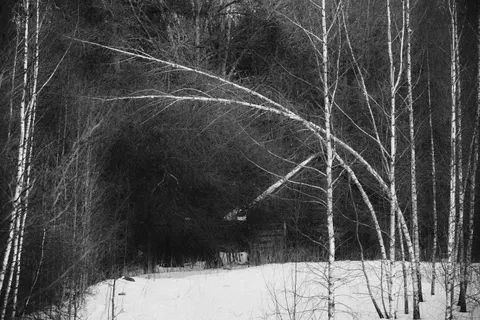 Winter Cabin 4K Wallpaper · winter · 3840×2560