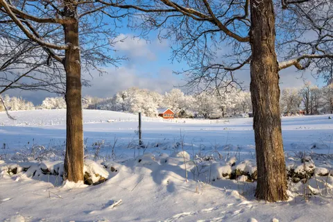 Winter Cabin 4K Wallpaper · winter · 3840×2561