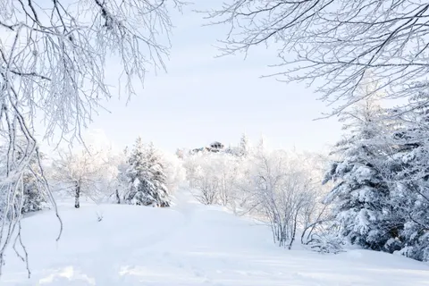Winter Cabin 4K Wallpaper · winter · 3840×2560