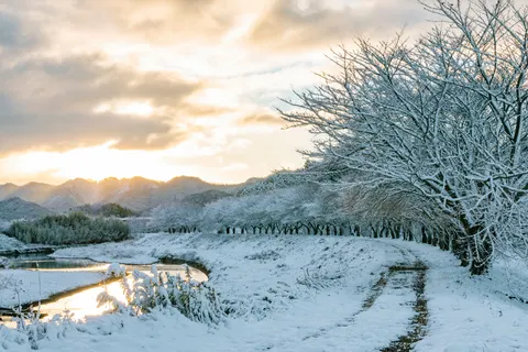 겨울 눈 4K 배경화면 · nature · 3840×2560