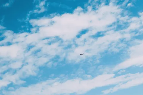 Flying Eagle 4K Wallpaper · birds · 3840×2560