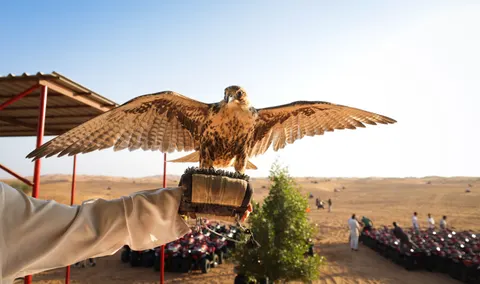 Flying Eagle 4K Wallpaper · birds · 3840×2269