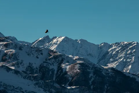 Flying Eagle 4K Wallpaper · birds · 3840×2563