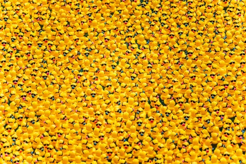 Flamingo Flock 4K Wallpaper · birds · 3840×2560