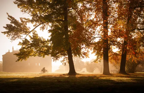 Autumn Forest Path 4K Wallpaper · autumn · 3840×2497