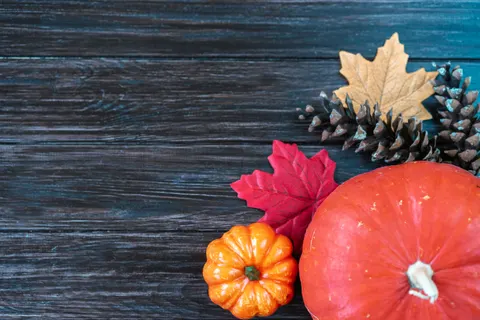Autumn Maple Leaves 4K Wallpaper · autumn · 3840×2560