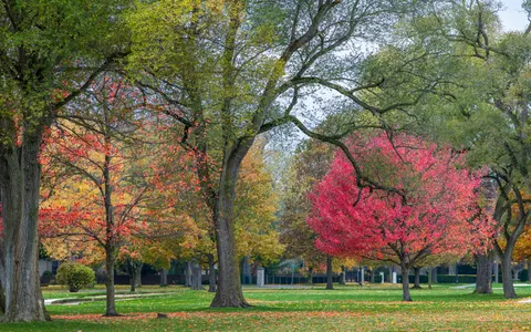Autumn Maple Leaves 4K Wallpaper · autumn · 3840×2400