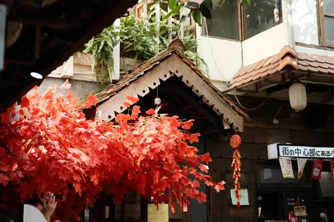 Autumn Maple Leaves 4K Wallpaper · autumn · 3840×2560