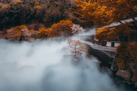 Autumn Maple Leaves 4K Wallpaper · autumn · 3840×2560