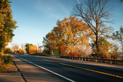 Autumn Maple Leaves 4K Wallpaper · autumn · 3840×2560