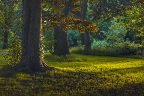Autumn Park 4K Wallpaper · autumn · 3840×2560