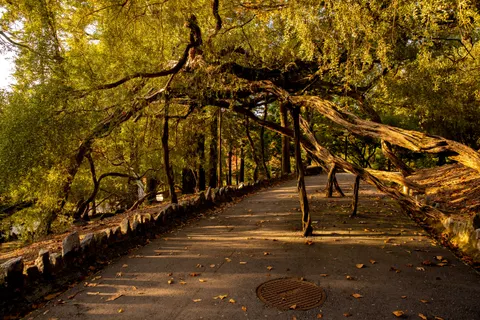 Autumn Park 4K Wallpaper · autumn · 3840×2560
