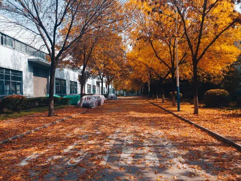 Autumn Park 4K Wallpaper · autumn · 3840×2883