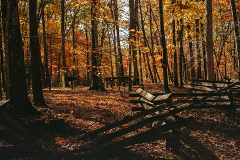Autumn Park 4K Wallpaper · autumn · 3840×2560