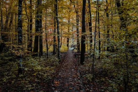 Autumn Park 4K Wallpaper · autumn · 3840×2560