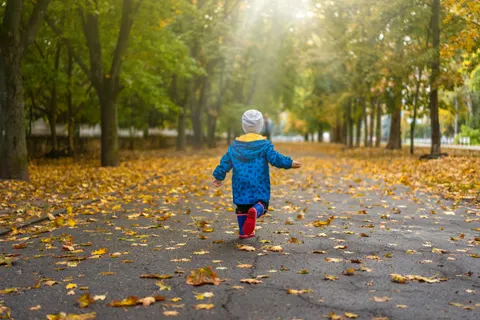 Autumn Park 4K Wallpaper · autumn · 3840×2560
