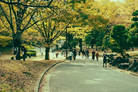 Autumn Park 4K Wallpaper · autumn · 3840×2560