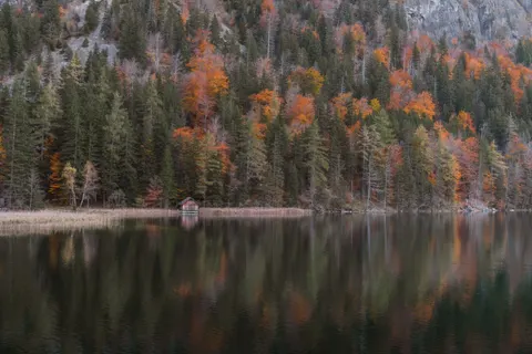 Autumn Lake 4K Wallpaper · autumn · 3840×2561