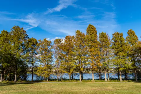 Autumn Lake 4K Wallpaper · autumn · 3840×2560