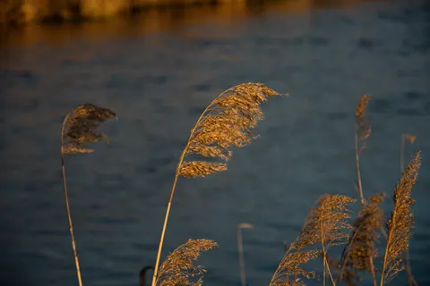Autumn Lake 4K Wallpaper · autumn · 3840×2560